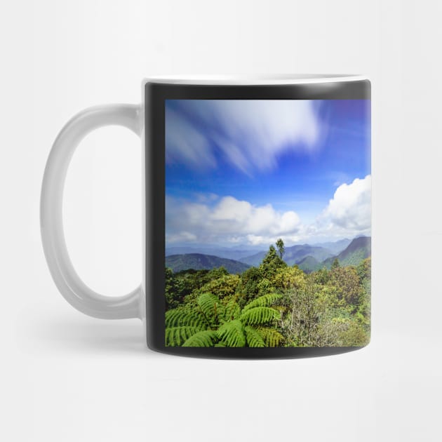 Unique landscape photography of Gunung Brinchang mountain at Sungai Palas, Cameron Highlands by AvonPerception